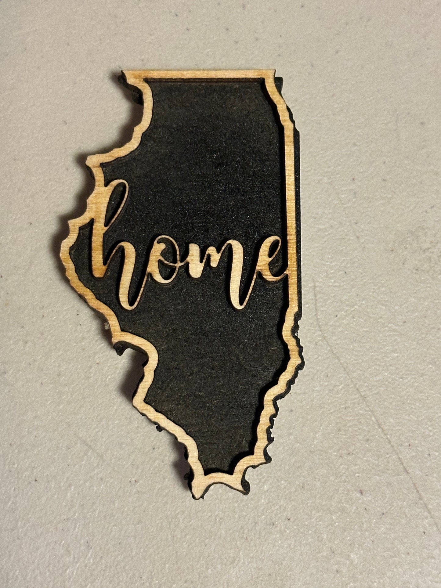 Illinois Home Magnet