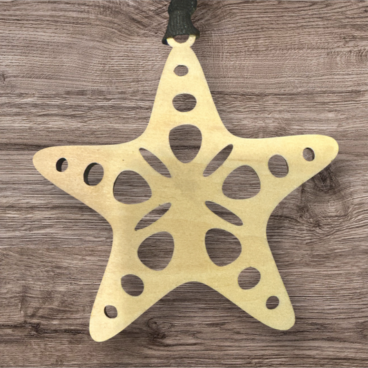 Ripples of Kindness Starfish Story Card Ornament