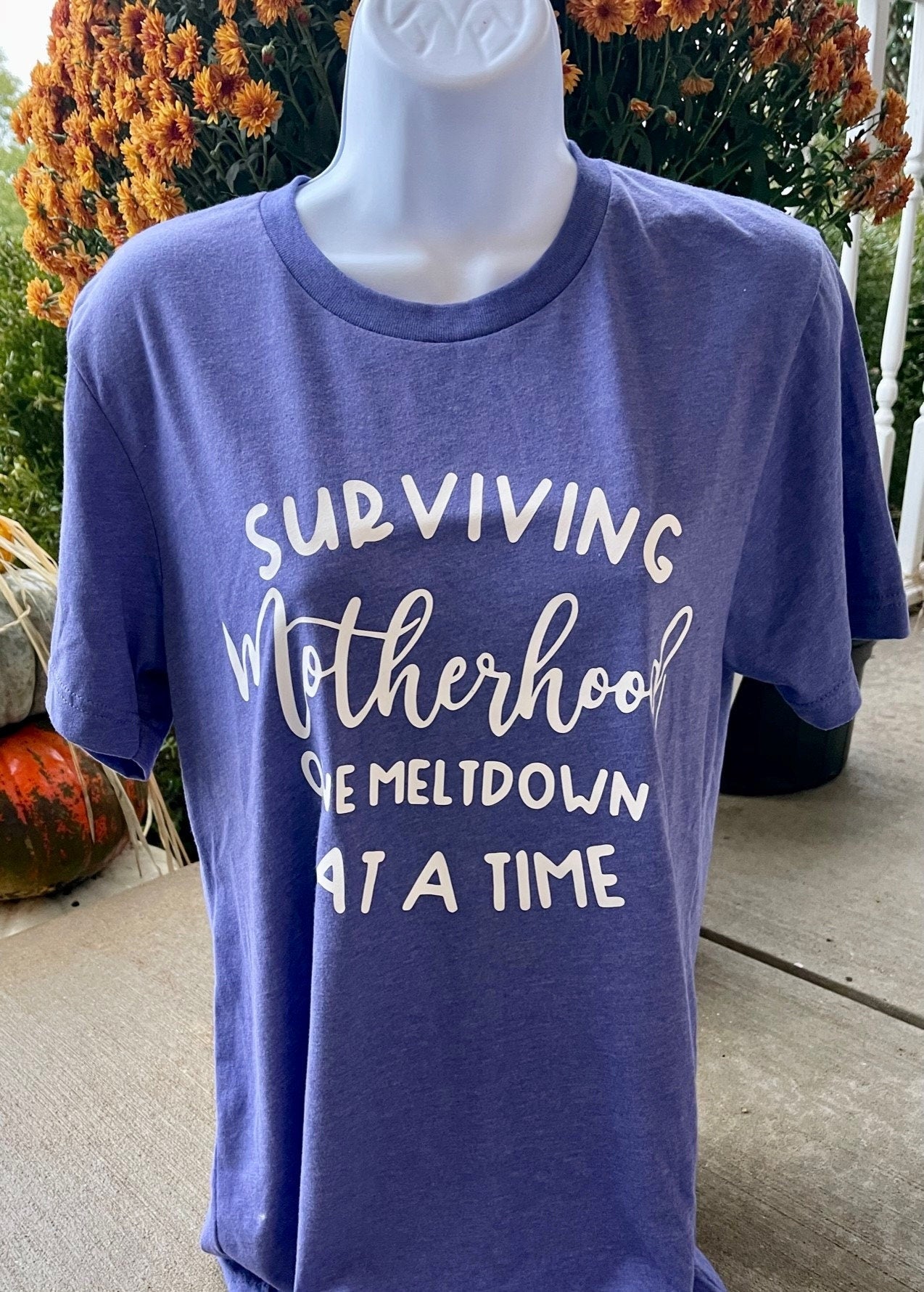 Surviving Motherhood One Meltdown at a Time Graphic Tee